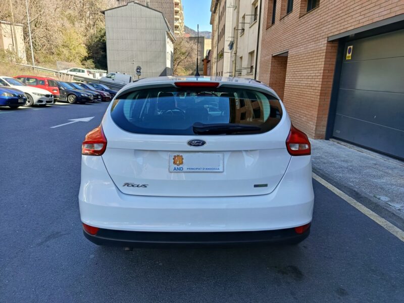 IMG_20260331_124209 IMG_20260331_124209